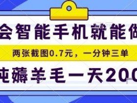 手机项目，二十秒一单，纯薅羊毛一天2张+做就有【揭秘】