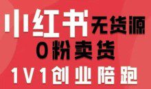 爱野佩佩小红书无货源0粉电商课，开店准备、选品策略、笔记撰写、视频剪辑、数据分析、账号打造、资料文档