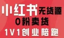 爱野佩佩小红书无货源0粉电商课，开店准备、选品策略、笔记撰写、视频剪辑、数据分析、账号打造、资料文档