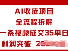 AI收徒项目全流程拆解一条视频成交35单日利润突破1k+