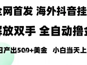 海外抖音无人直播，单日产出1.5k+，长期稳定，新手可玩，无脑操作【揭秘】