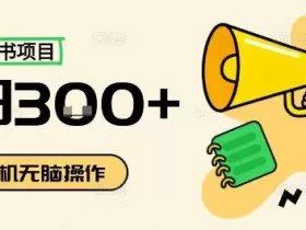 小红书抄书项目，无脑操作，一天3张