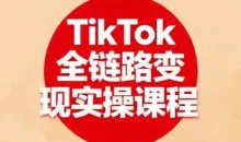 小杨老师·TikTok全链路变现实操课程，全方位助力学员掌握TK变现技能