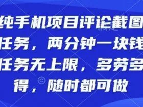 纯手机项目评论截图任务，两分钟一块钱多劳多得，随时随地都能做【揭秘】