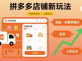 拼多多店铺新玩法，代发供应链上拼玩法