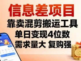 信息差项目，靠卖混剪搬运工具，单日变现4位数，需求量大，复购强，操作简单，几分钟一条视频