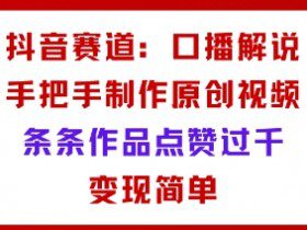 抖音赛道：口播解说，手把手教你制作原创视频，条条作品点赞过千，变现简单