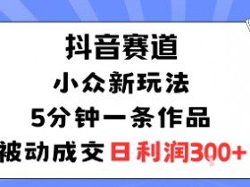 抖音赛道：小众新玩法，5分钟一条作品，被动成交，日利润3张