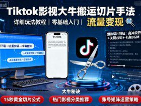Tiktok影视大牛搬运切片手法，详细玩法教程