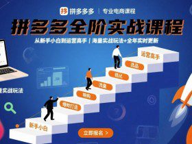 拼多多全阶实战课程，从新手小白到运营高手，海量实战玩法+全年实时更新【2025年9月更新】