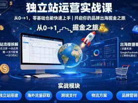 独立站运营实战课，​从0到1，零基础也能快速上手，开启你的品牌出海掘金之旅