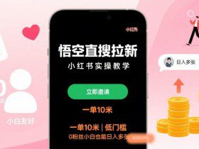 悟空直搜拉新小红书实操教学，一单10米，低门槛，0粉丝小白也能日入多张