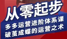 海神·拼多多运营进阶系统课，从零起步，多多运营进阶体系课，破茧成蝶的运营之术