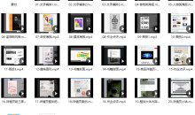 王猛奇版式设计第30期11月结课【画质高清有素材】