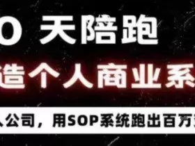 40天陪跑打造个人商业系统，一人公司，用SOP系统跑出百W变现