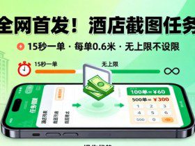 全网首发！酒店截图任务，15秒一单，每单0.6米，任务无上限不设限，矩阵操作单日3张到手【揭秘】