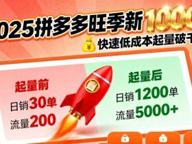 2025拼多多旺季新老店铺——快速低成本起量破千单