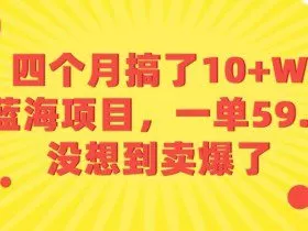 四个月搞了10+W的蓝海项目，一单59.9米，没想到卖爆了