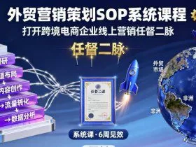 外贸营销策划SOP系统课程，打开跨境电商企业线上营销任督二脉