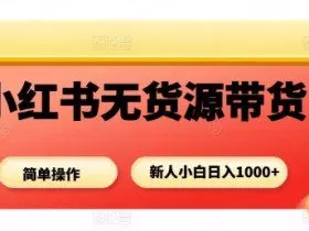 小红书无货源带货项目，简单无脑，新人小白日入多张
