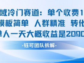 私域冷门赛道单个收费198米引流模板简单人群精准 45%的转化率单人一天大概收益多张