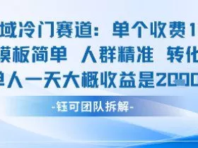 私域冷门赛道单个收费198米引流模板简单人群精准 45%的转化率单人一天大概收益多张