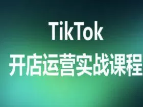 TikTok开店运营实战课程，TK跨境电商实操全流程