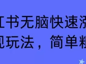 小红书无脑快速涨粉变现玩法，简单粗暴
