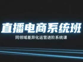直播电商系统班，同领域差异化运营进阶系统课