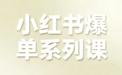 尼采老师·小红书爆单系列课,聚焦小红书电商全链路增长
