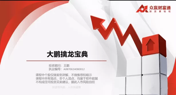 王鹏-大鹏擒龙宝典系列课程