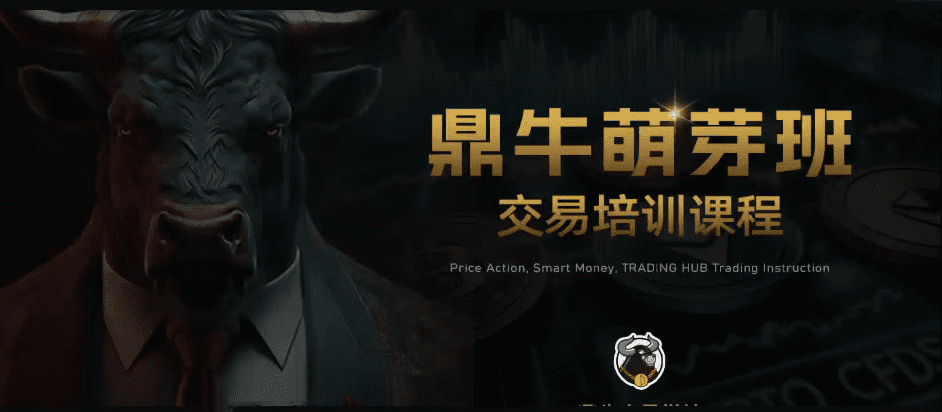 鼎牛交易学社 鼎牛萌芽班 Beginner Class交易培训课程Trading Hub 价格…