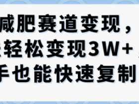 抖音减肥赛道变现，两种玩法轻松变现3W+，新手也能快速复制