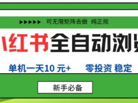 小红书全自动浏览项目，零投资，全程手机去跑，单账号一天10米+，可无限矩阵去做【揭秘】