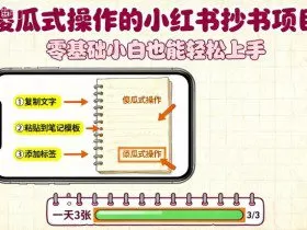 傻瓜式操作的小红书抄书项目，会复制粘贴就行，零基础小白也能一天3张