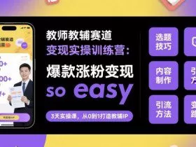 教师教辅赛道变现实操训练营，爆款涨粉变现so easy