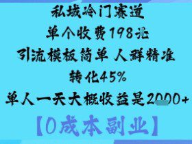 私域冷门赛道:单个收费198米引流模板简单人群精准转化45%单人一天大概收益是1k+
