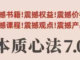 村西边老王本质心法7.0，​视频课+《本质心法》电子版