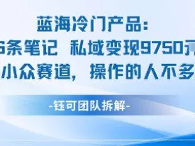 蓝海项目：16条笔记私域变现9750米小众赛道操作的人不多