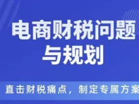 电商企业财税风险与规避，直击财税痛点，制定专属方案
