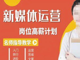 新媒体运营高薪升核培养计划，入门-转行-进阶