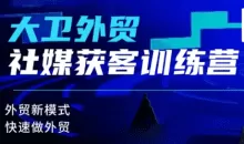 大卫老师·外贸社媒获客独家训练营(更新2月)