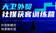 大卫老师·外贸社媒获客独家训练营（更新2月）