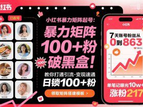 小红书暴力矩阵起号，教你打通引流-变现速通，日锁100+粉，破流量黑盒