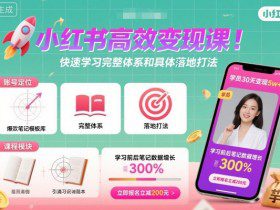 小红书高效变现课,快速学习小红书完整体系和具体落地打法