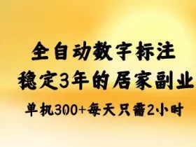 全自动数字标注，稳定3年的蓝海项目，居家也能矩阵开干的副业，单机日入3张+【揭秘】