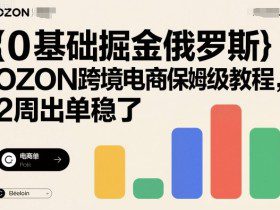 0基础掘金俄罗斯，OZON跨境电商保姆级教程，2周出单稳了