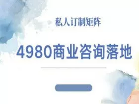 4980商业咨询师落地课程-ip运营高客单教程