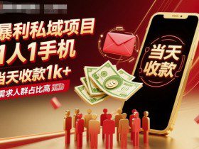 暴利私域项目1人1手机，当天收款1k+，需求人群占比高，当天就能见到钱