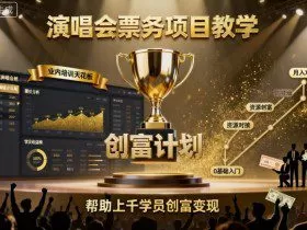 演唱会票务项目教学，业内培训天花板，帮助上千学员创富变现